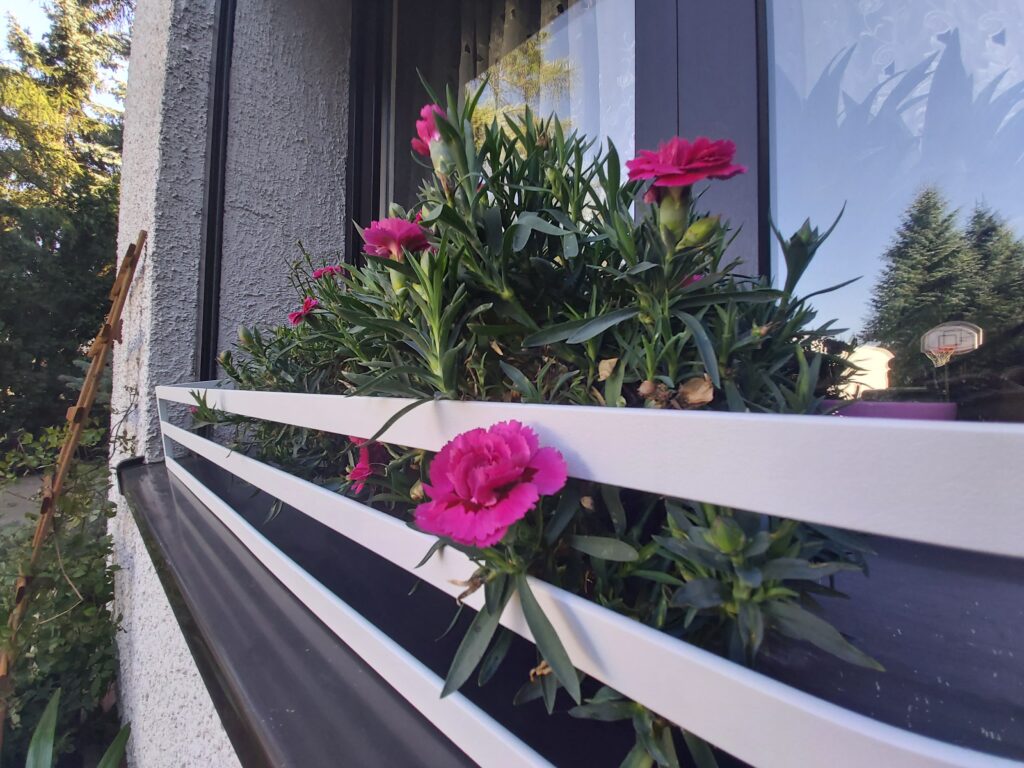 Prosty, stylowy kwietnik na parapet - elegancja w każdym detalu.