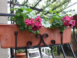 Solidny hak na skrzynki kwiatowe, metalowy wieszak na balkon, taras, płot i balustradę.