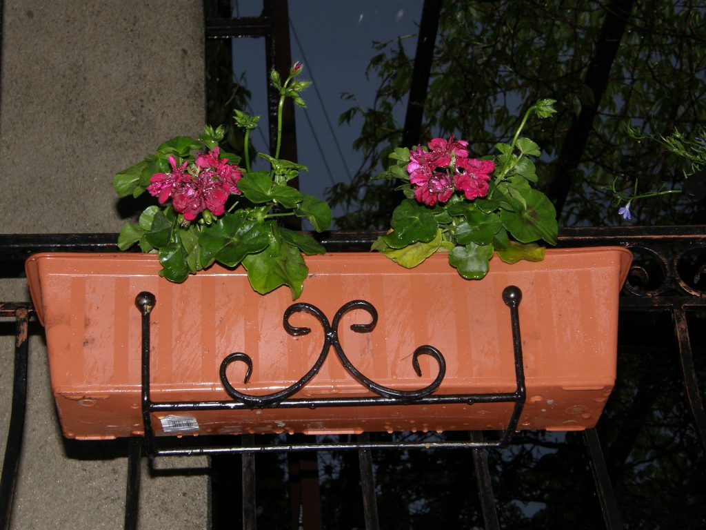 Solidny hak na skrzynki i doniczki, metalowy wieszak na balkon, taras, płot i balustradę.